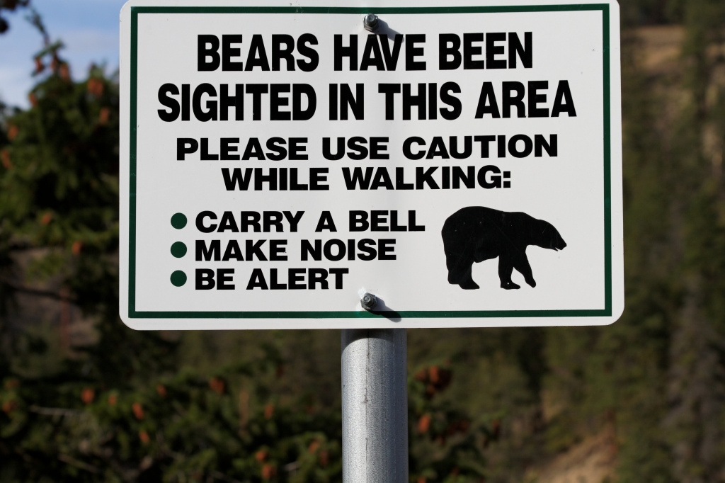 05 - Jasper NP (17).jpg